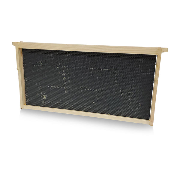 Products Wood Frame with Premier Foundation - Extra Heavy Beeswax Coated (assembled) for beekeeping bee hive