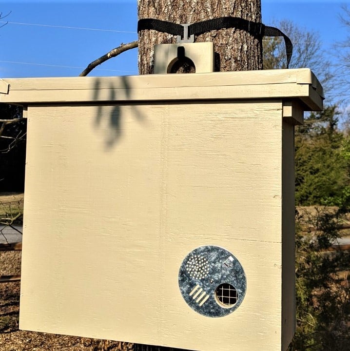 Swarm Trap Hanger Strap for beekeeping
