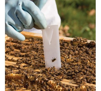 Apivar Varroa Mite Treatment Strips For beekeeping