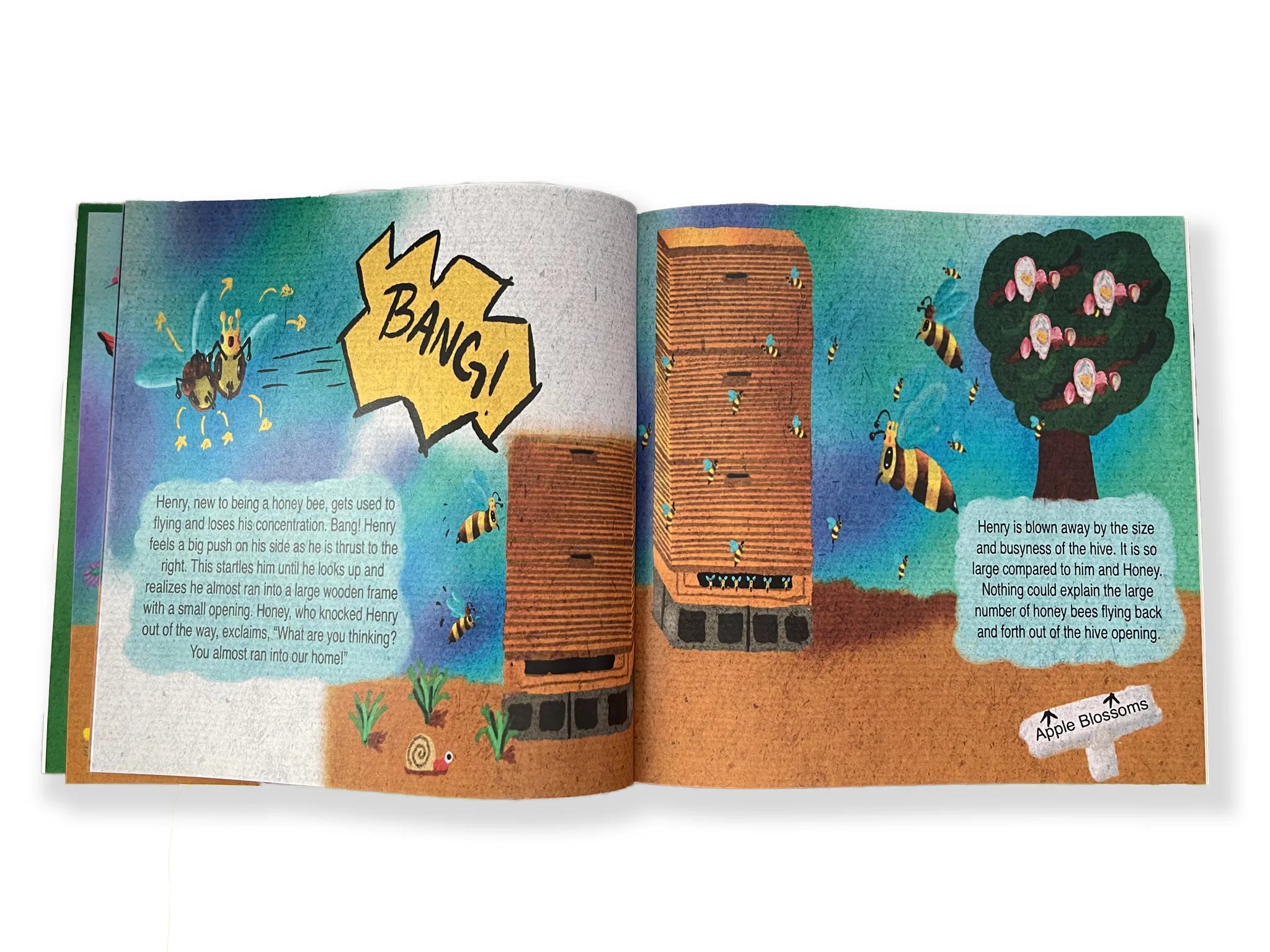 Henry Meets A Honeybee - Children's beekeeping Book